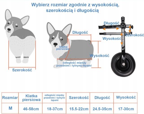 Wózek inwalidzki dla psów średnich ras - tylne łapy, rozmiar M Braders