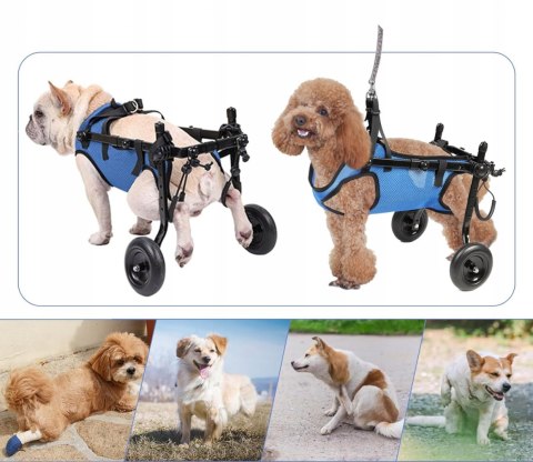 Wózek inwalidzki dla psów średnich ras - tylne łapy, rozmiar M Braders