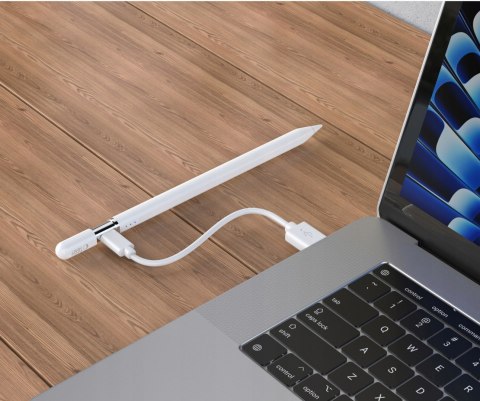 Stylus do iPad Pro 11/12.9, Air 4/5, Mini 6 - dokładne pisanie