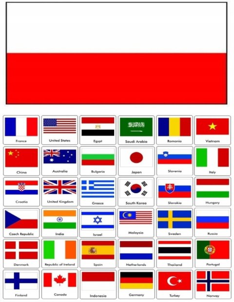 TRANSLATOR ELEKTRONICZNY TŁUMACZ MOWY MENU PL APARAT ONLINE 134 JĘZYKI