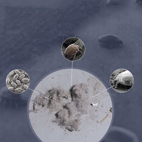 Odkurzacz ręczny do materacy i poduszek 10000Pa usuwanie roztoczy