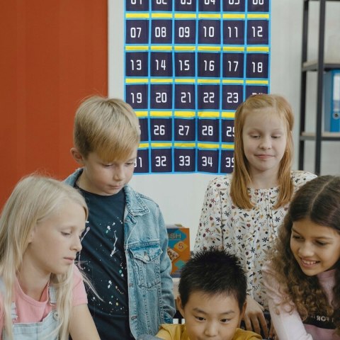 Organizer na telefony 42 numerowanych kieszeni do klasy i biura Braders