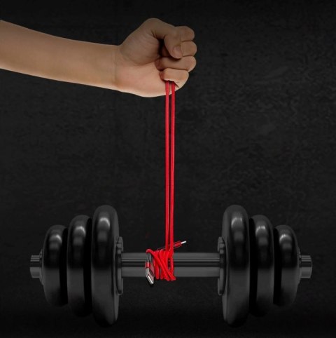 Kabel Baseus USB - Apple Lightning 2 m czarny